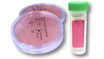 Ready-to-use media for environmental sampling